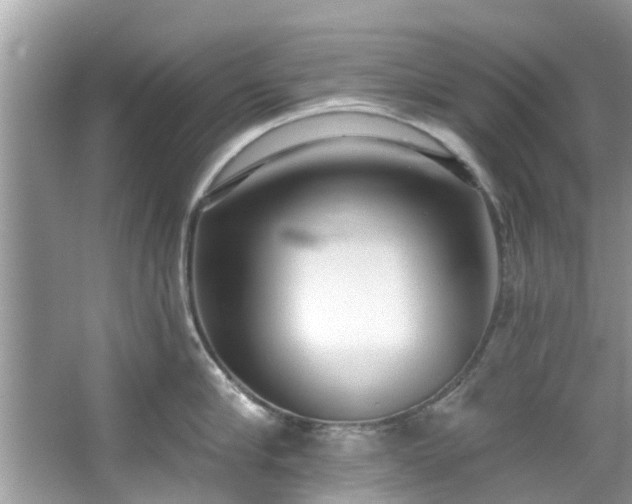 X0000067470910200604101155