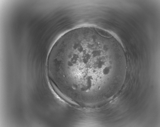 X0000067470911200604101155