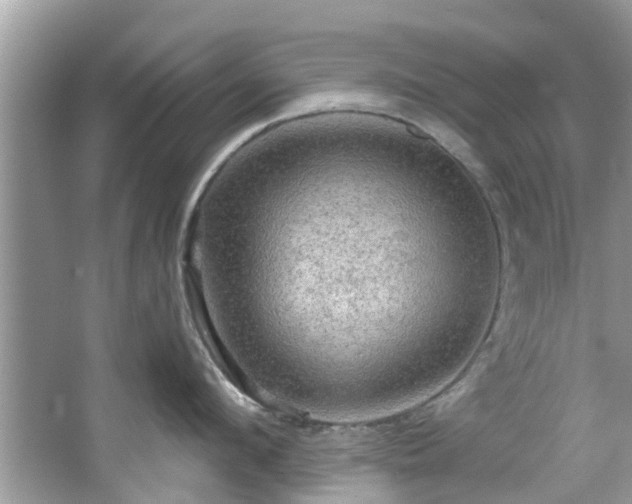 X0000067470912200604101155