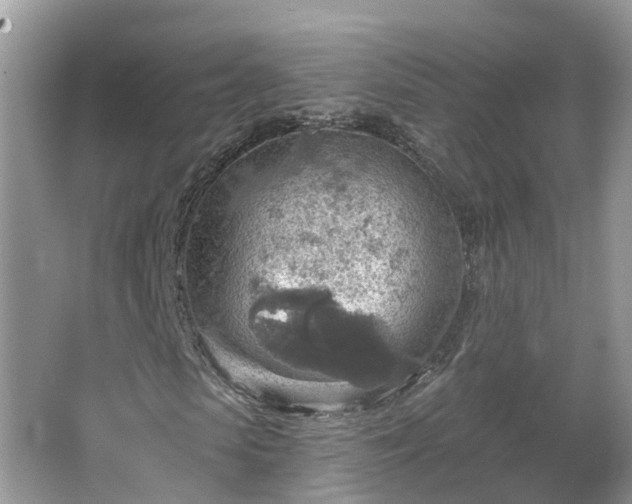 X0000067470913200604101155