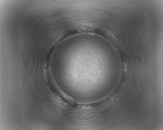 X0000067470915200604101155