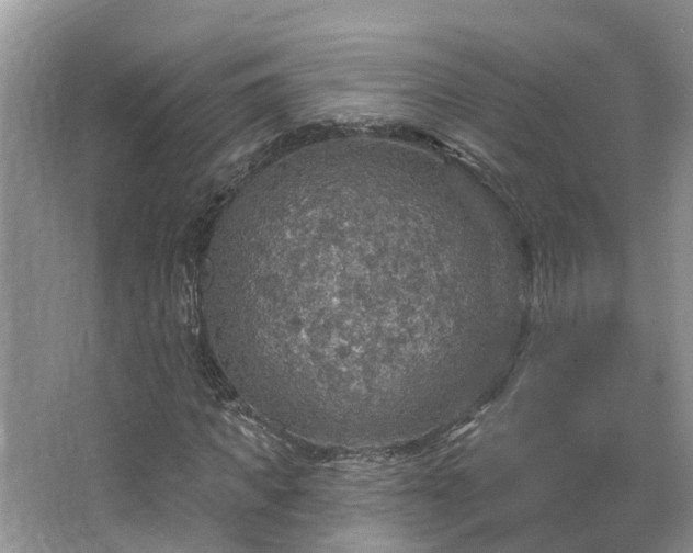 X0000067470917200604101155