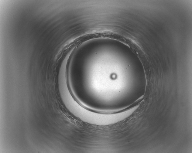 X0000067470920200604101155