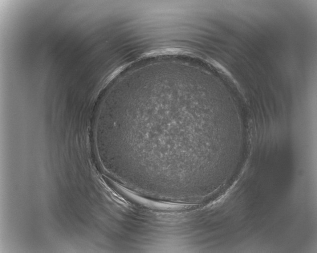 X0000067470921200604101155