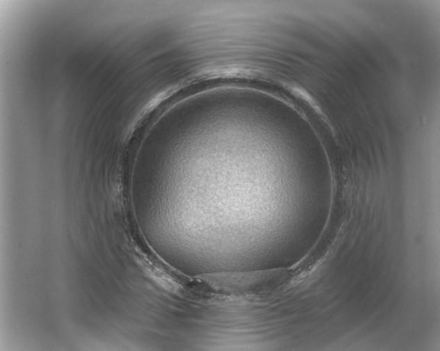 X0000067470922200604101155