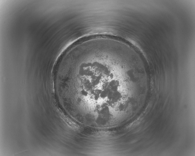 X0000067470925200604101155