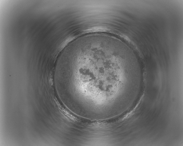 X0000067470929200604101155