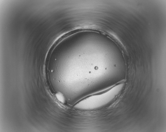 X0000067470932200604101155