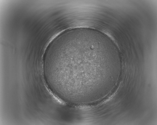 X0000067470933200604101155