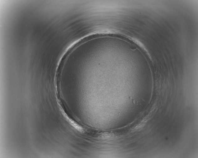 X0000067470935200604101155