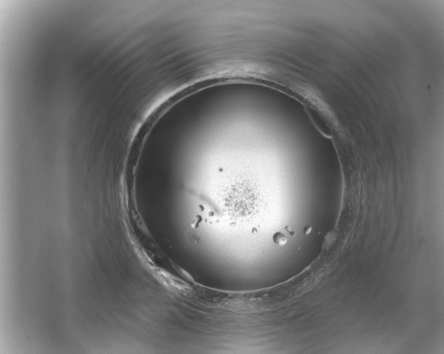 X0000067470936200604101155