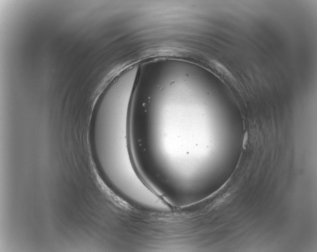 X0000067470938200604101155