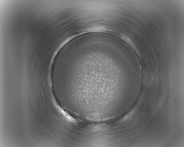 X0000067470939200604101155