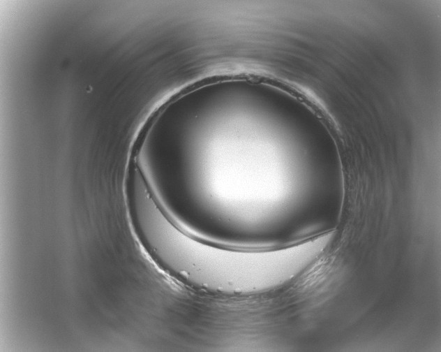 X0000067470943200604101155