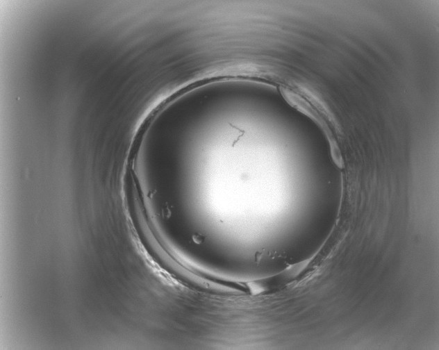 X0000067470944200604101155