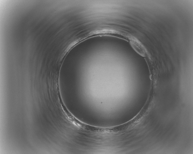 X0000067470945200604101155