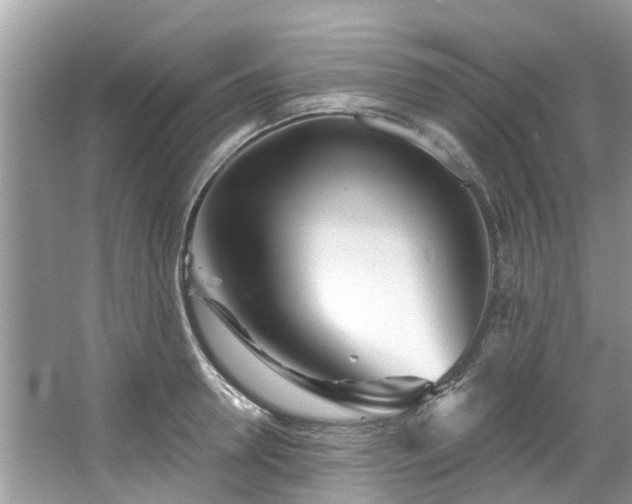 X0000067470946200604101155