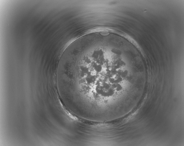 X0000067470953200604101155