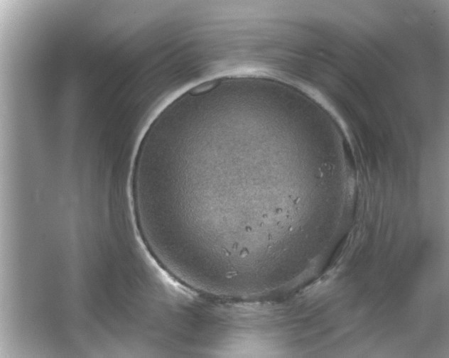 X0000067470959200604101155