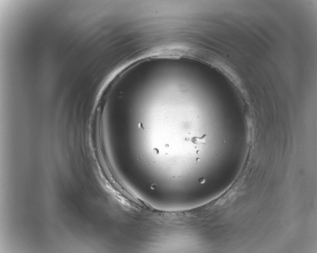 X0000067470960200604101155