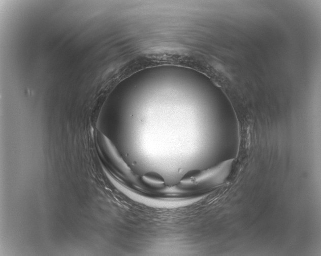 X0000067470965200604101155