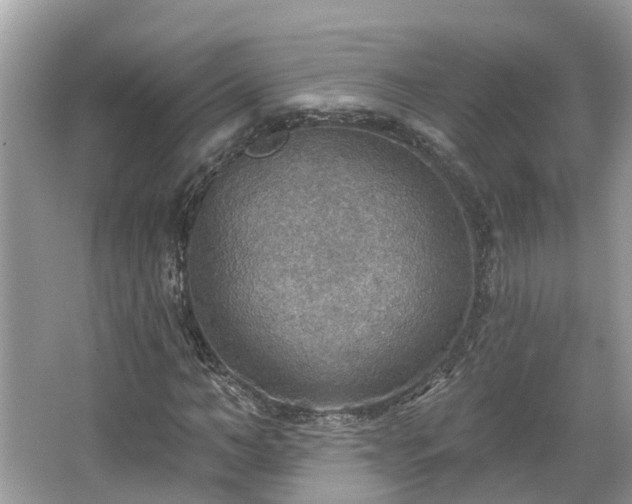 X0000067470966200604101155