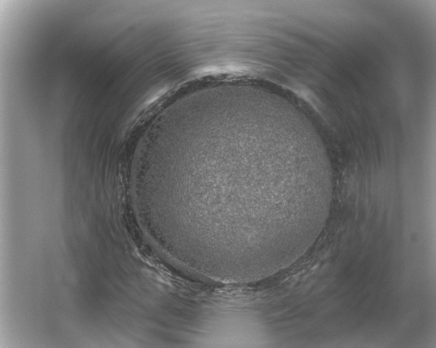 X0000067470967200604101155