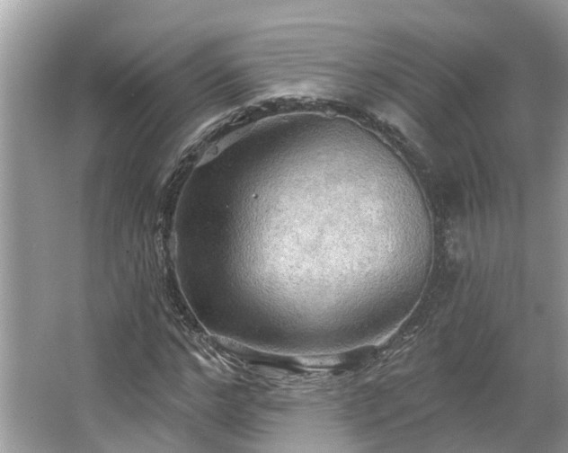 X0000067470968200604101154