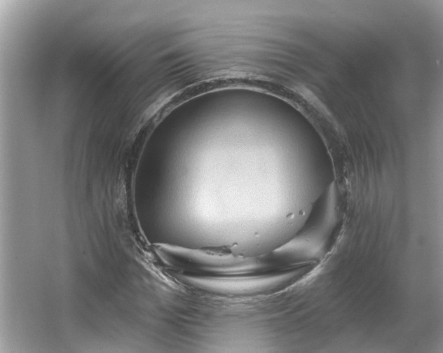 X0000067470969200604101154