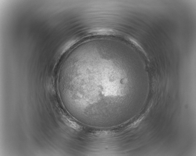 X0000067470970200604101154