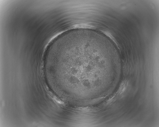 X0000067470971200604101154