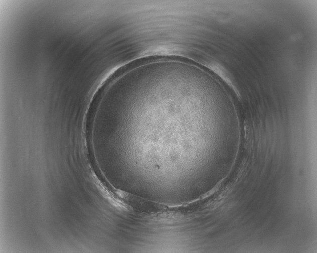 X0000067470972200604101154