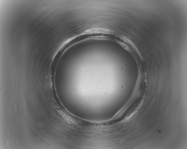 X0000067470973200604101154