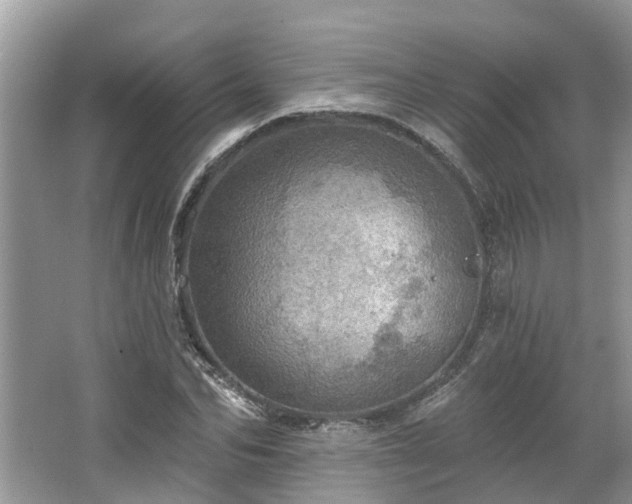 X0000067470974200604101154