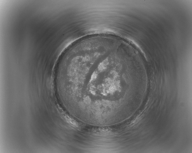 X0000067470975200604101154