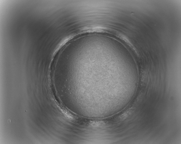 X0000067470978200604101154