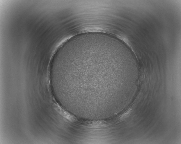 X0000067470979200604101154