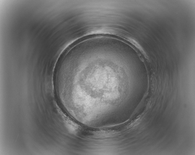 X0000067470980200604101154