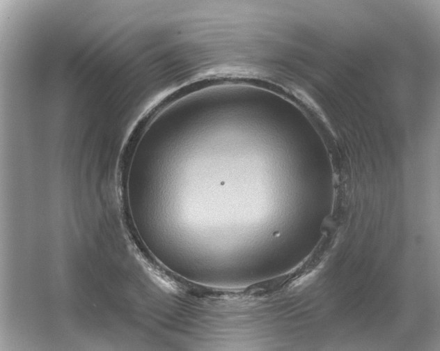 X0000067470981200604101154