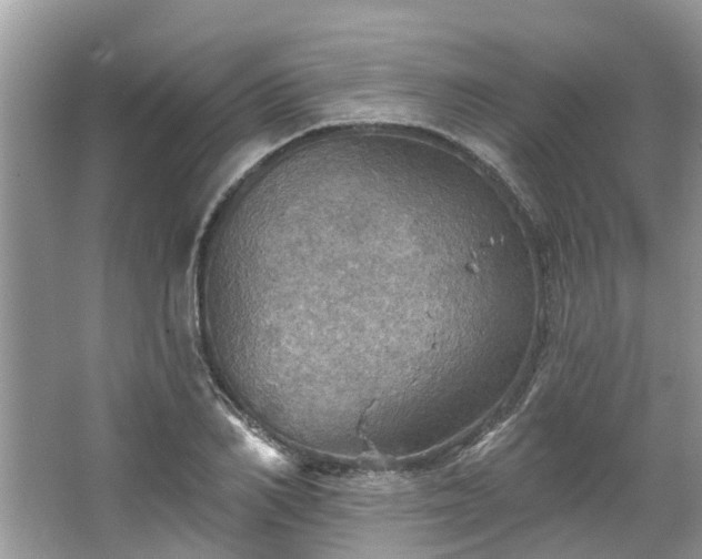 X0000067470982200604101154