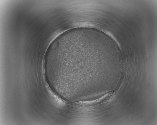 X0000067470983200604101154