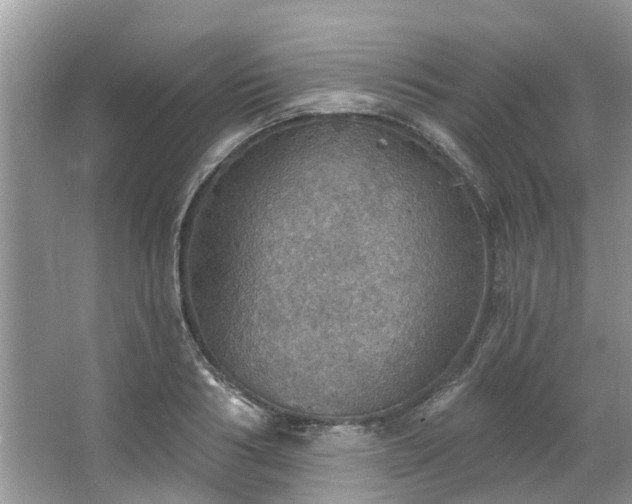 X0000067470986200604101154