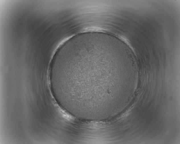 X0000067470987200604101154