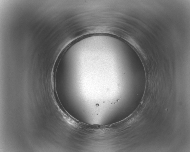 X0000067470988200604101154