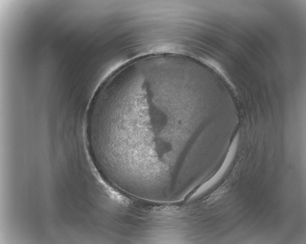 X0000067470991200604101154