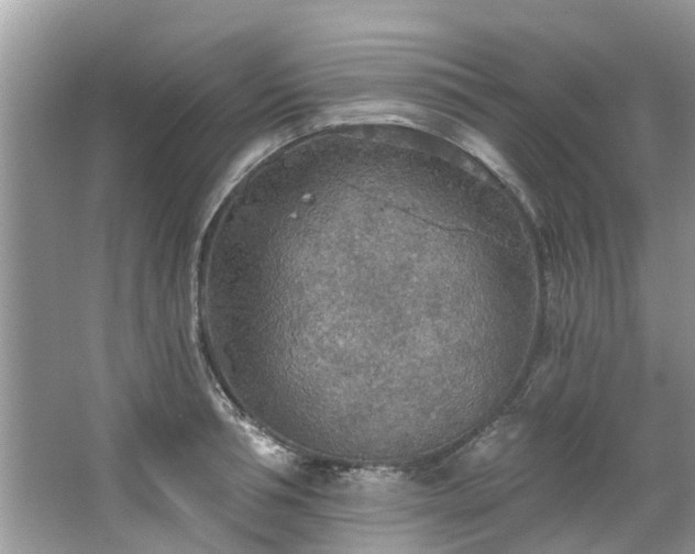 X0000067470994200604101154