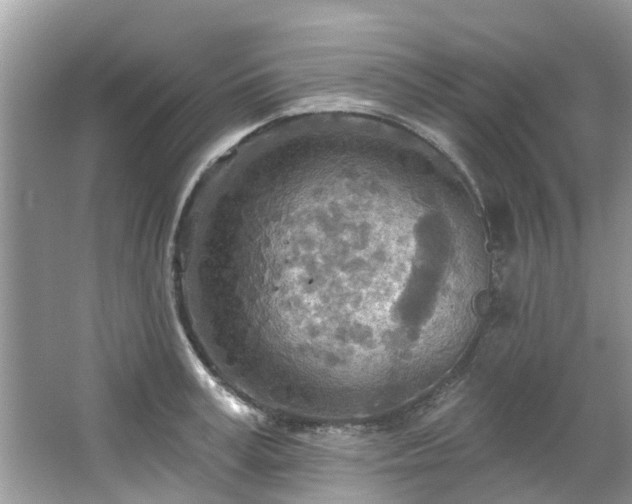 X0000067470995200604101154