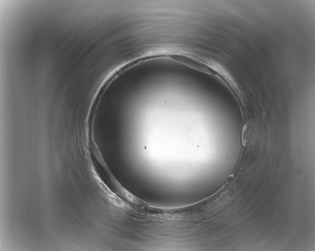 X0000067470996200604101154