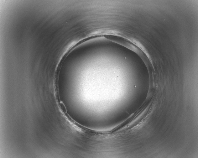 X0000067470997200604101154