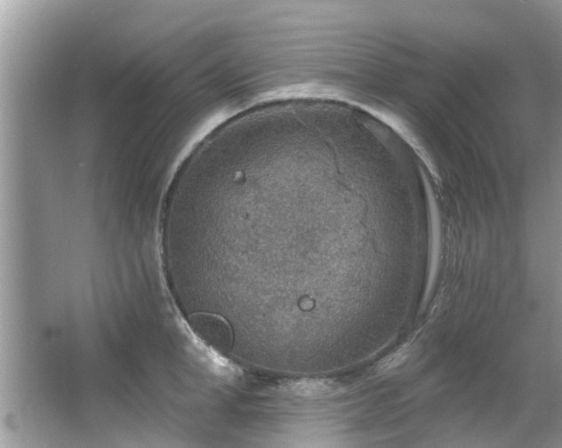 X0000067470998200604101154